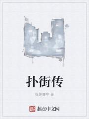 扑街传