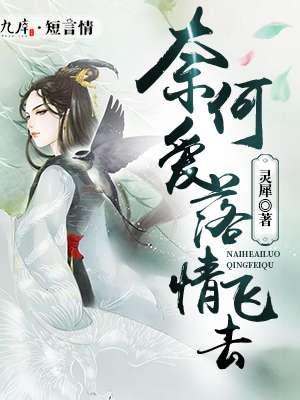 海贼王之轮回眼抽奖系统